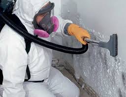 Why You Should Choose Our Mold Remediation Services in Croom, MD